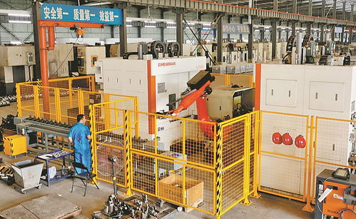 訂單足 生產(chǎn)忙——教學用模型及教具制造業(yè)的發(fā)展現(xiàn)狀